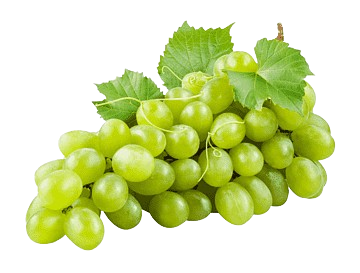 Grapes-s