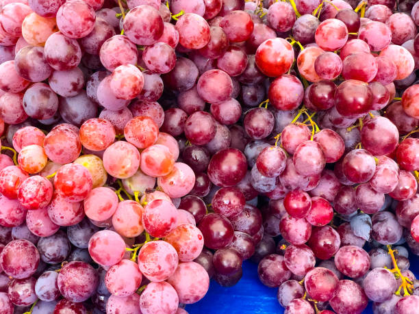 Red Globe grapes