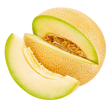 muskmelon-s